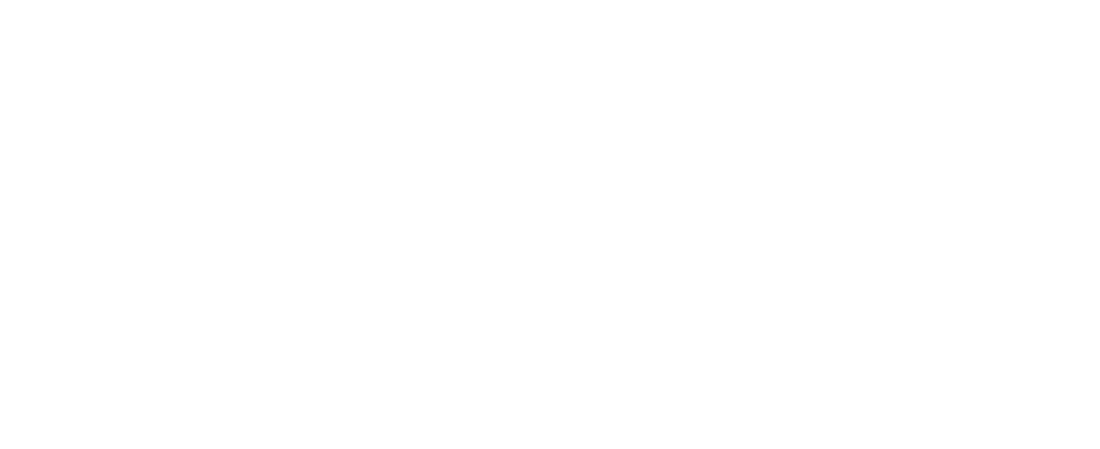 CleverCheck Secondary Logo White
